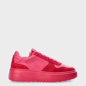 Sneaker-COPENHAGEN STUDIOS Cph X Lala Berlin Leather Mix Drachenfrucht